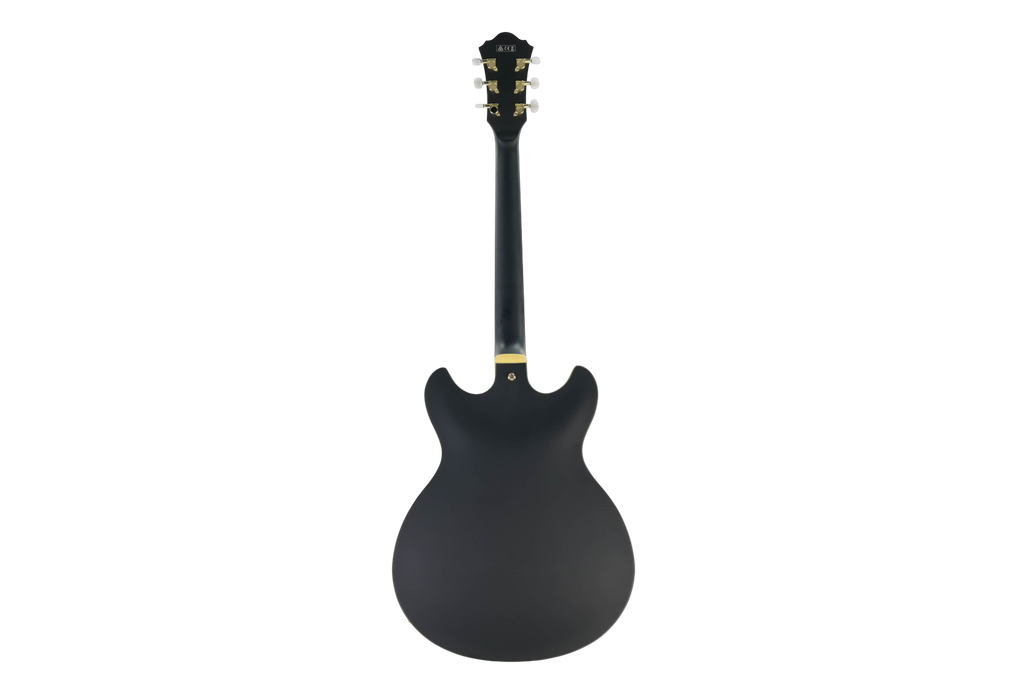 Ibanez AS73G-BKF Hollow body