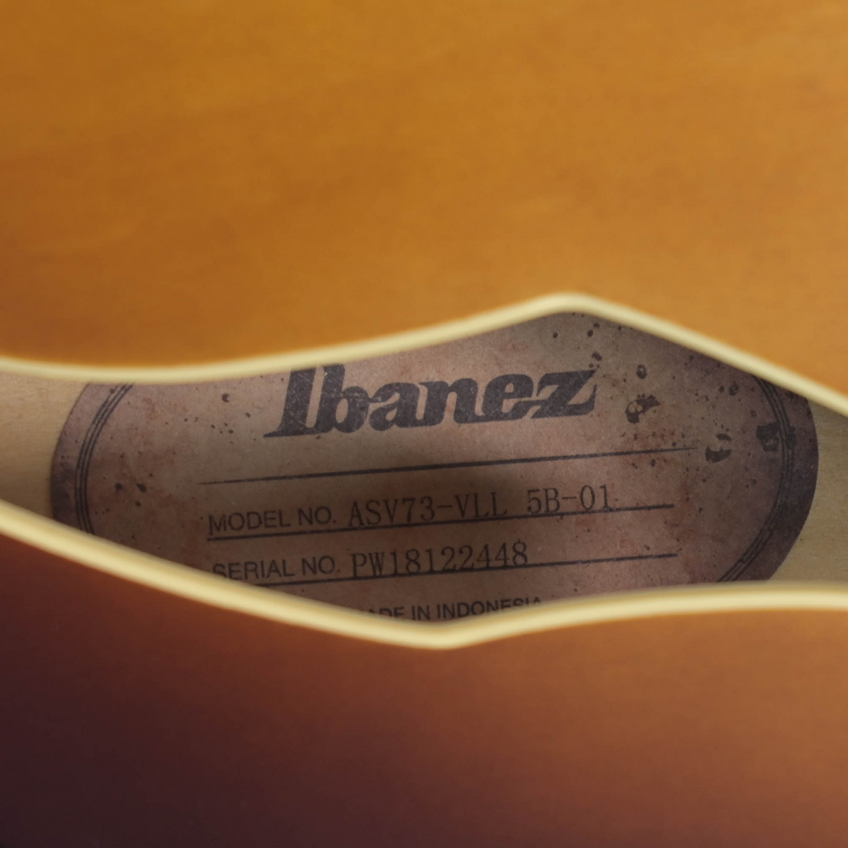 Ibanez ASV73 VLL