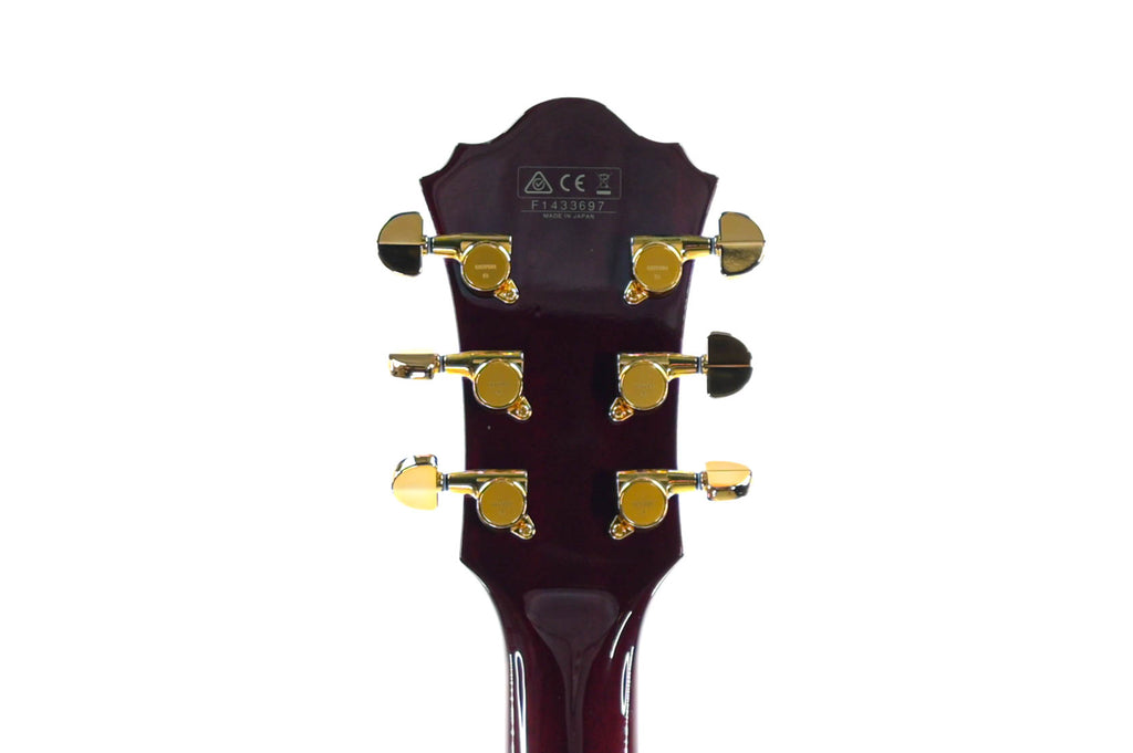 Ibanez EKM-100 WRD Eric Krasno 2014