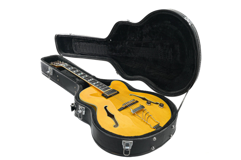 Ibanez PM2-AA