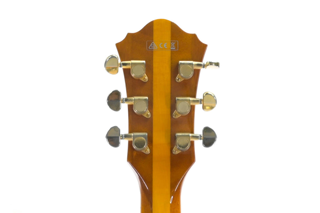 Ibanez PM2-AA
