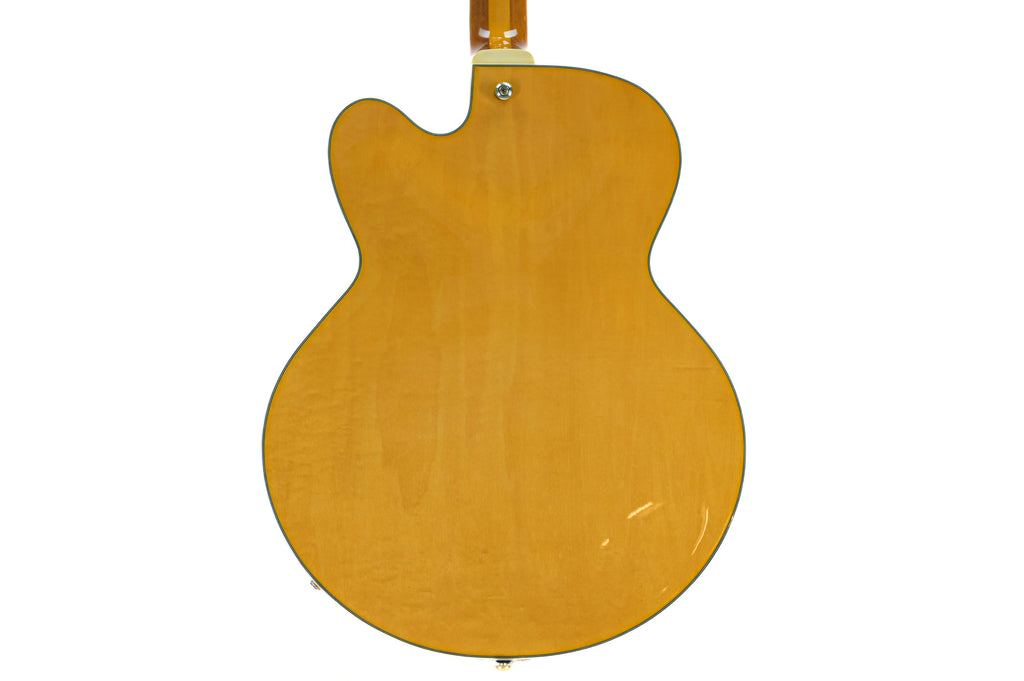 Ibanez PM2-AA