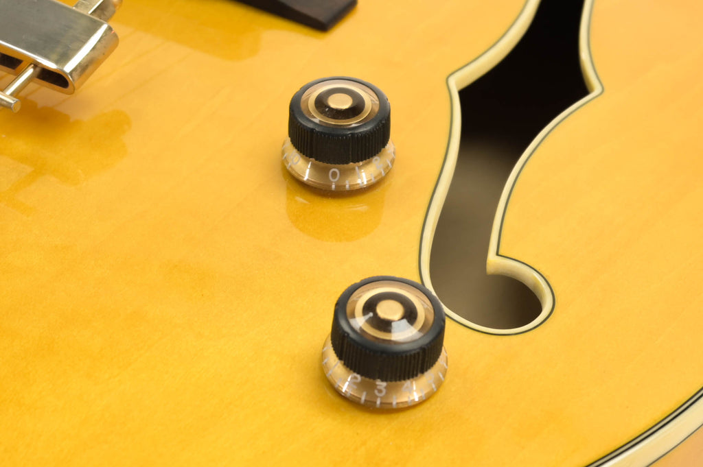 Ibanez PM2-AA