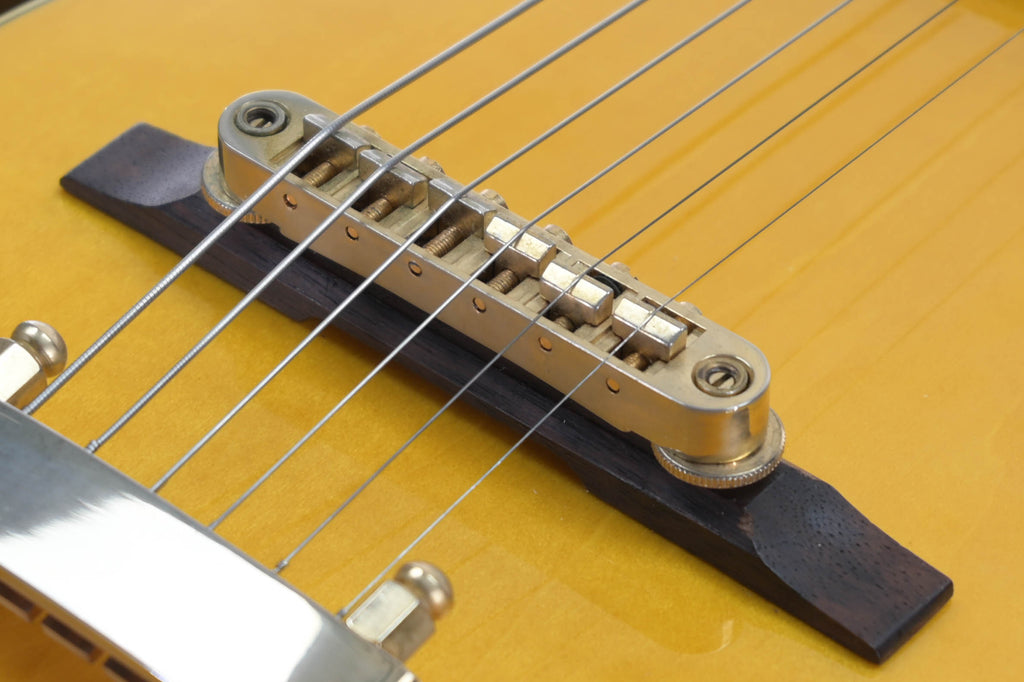 Ibanez PM2-AA