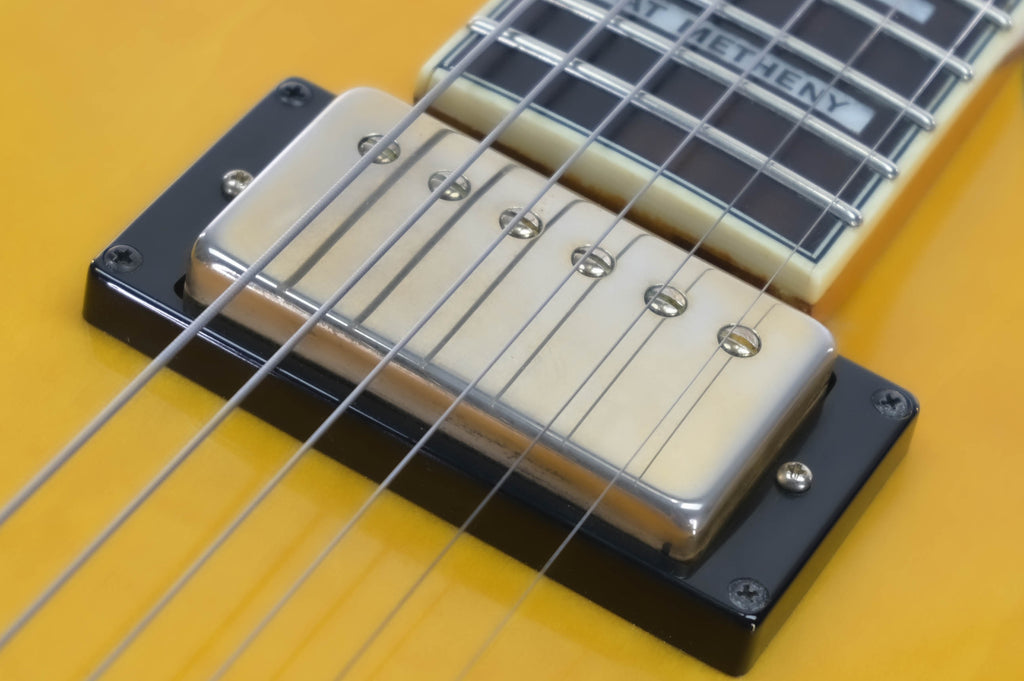 Ibanez PM2-AA