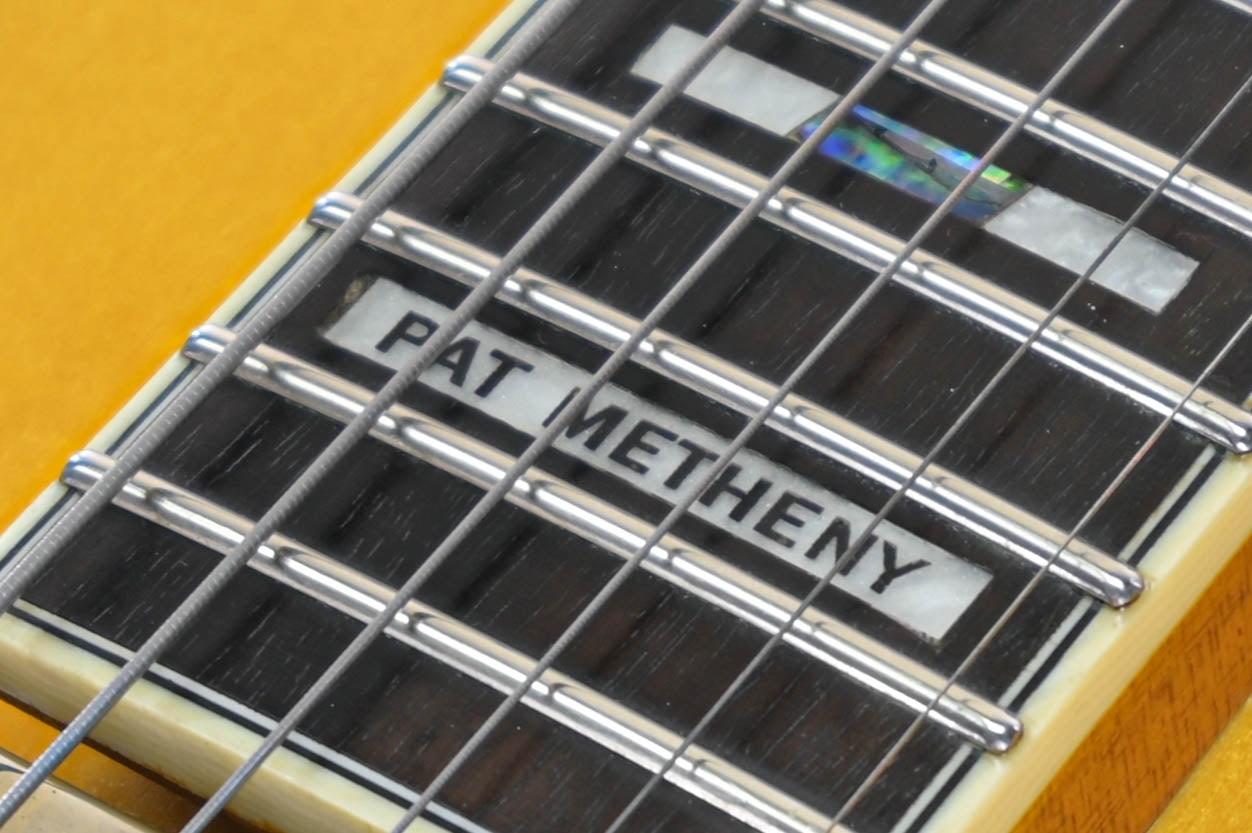 Ibanez PM2-AA