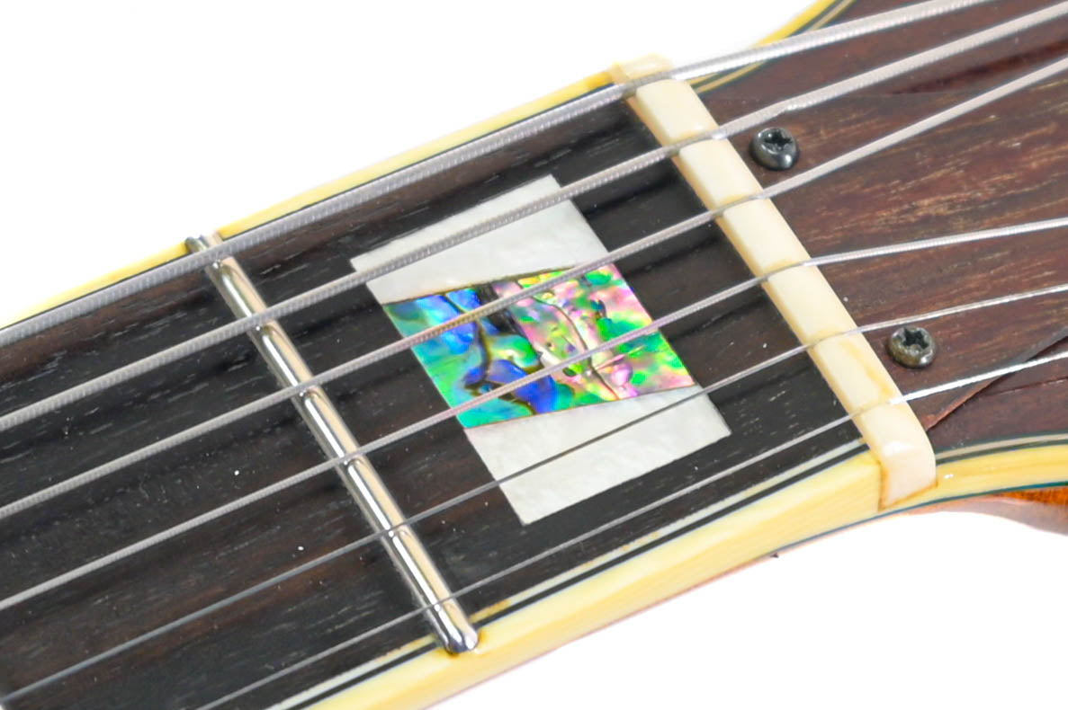 Ibanez PM2-AA