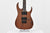 Ibanez RG421-MOL Occasion