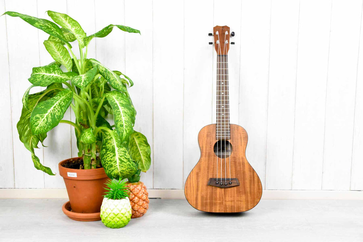 Islander A-ST-4 Tenor Ukulele Acacia