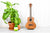 Islander A-ST-4 Tenor Ukulele Acacia