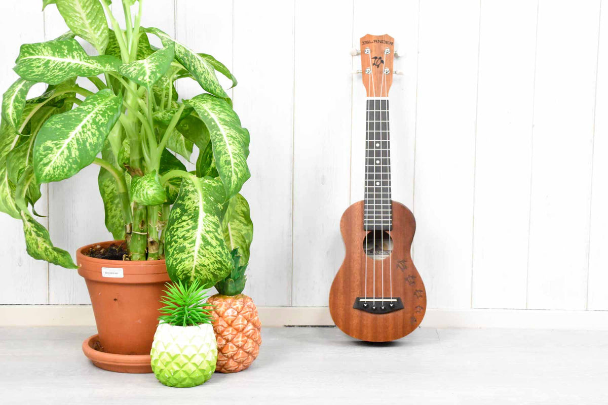 Islander MS-4-HN S Sopraan Ukulele Mahonie bovenblad