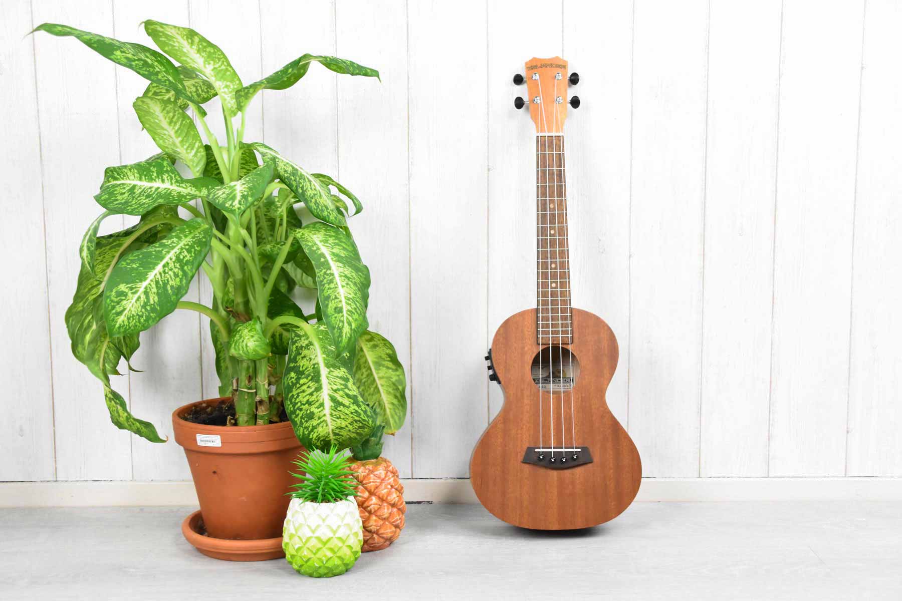Islander MT-4 EQ Tenor Ukulele Mahogany