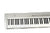 Korg SP200 stagepiano occasion