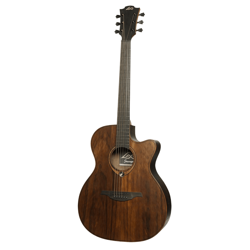 LAG SAUVAGE-ACE Auditorium Cutaway