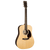 Martin D-X2E Billy Strings