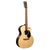 Martin GPC-X2E Cocobolo