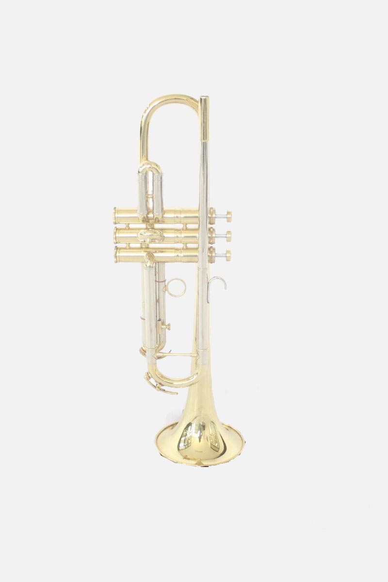 Buy a trumpet? Music All In
