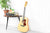Norman B50 12 Natural SG Anthem with TRIC - Twaalfsnarige western gitaar