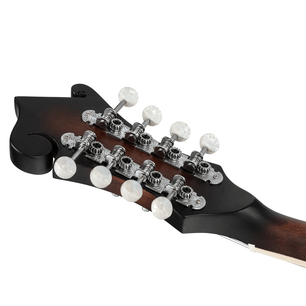 Meinl RMFE30-WB Mandoline Semi-Akoestisch