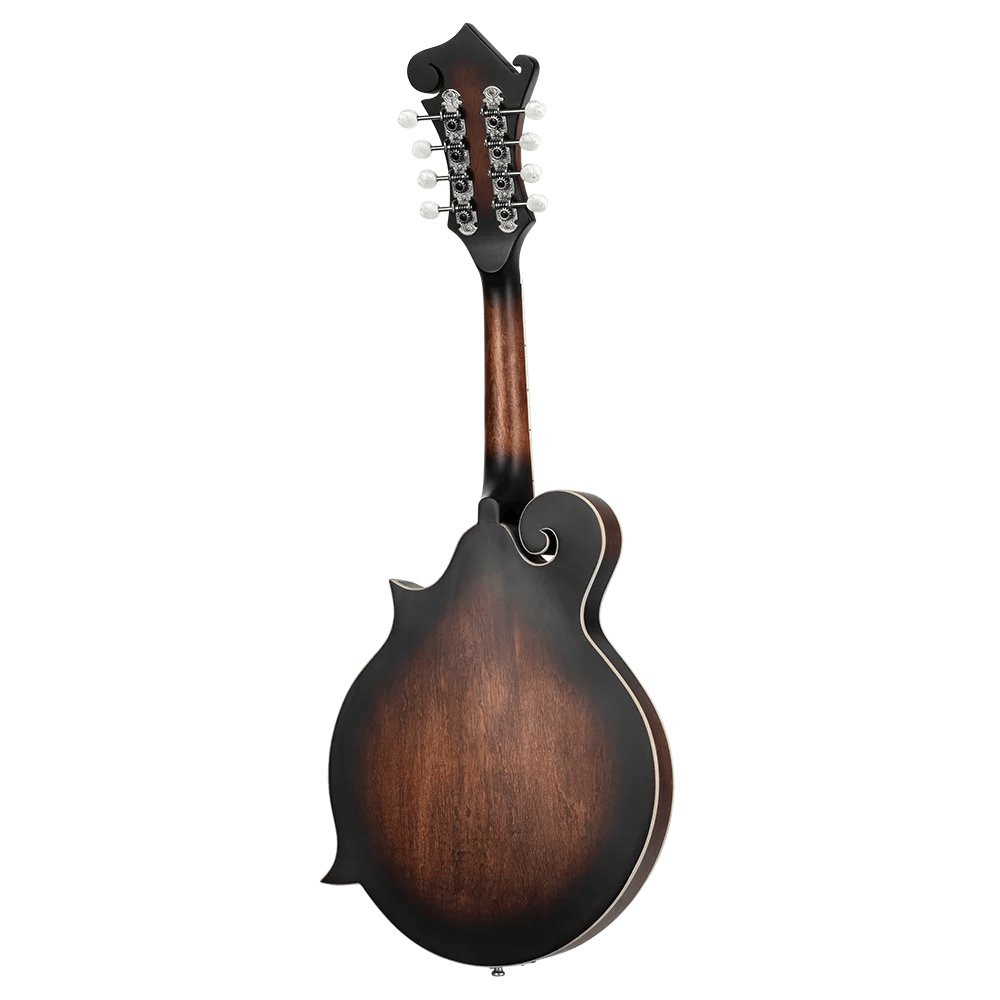 Meinl RMFE30-WB Mandoline Semi-Akoestisch