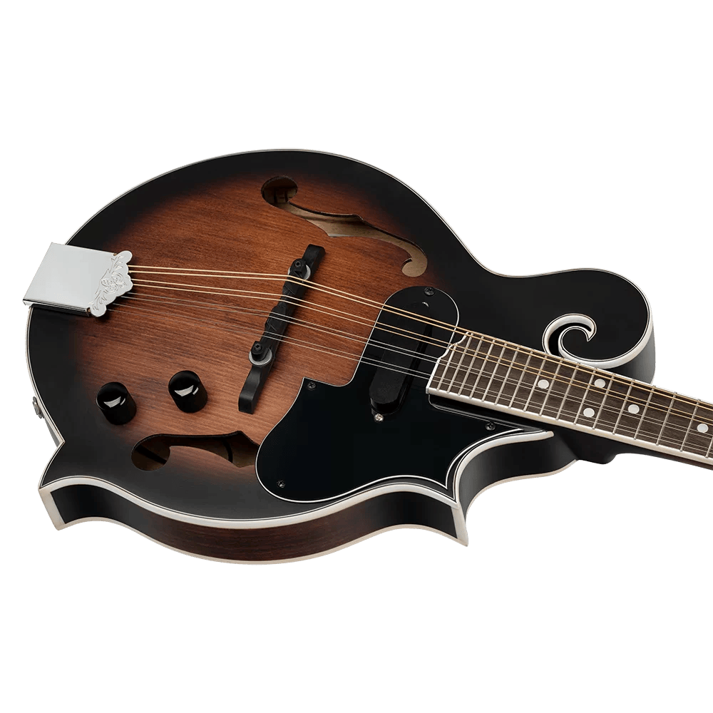 Meinl RMFE30-WB Mandoline Semi-Akoestisch