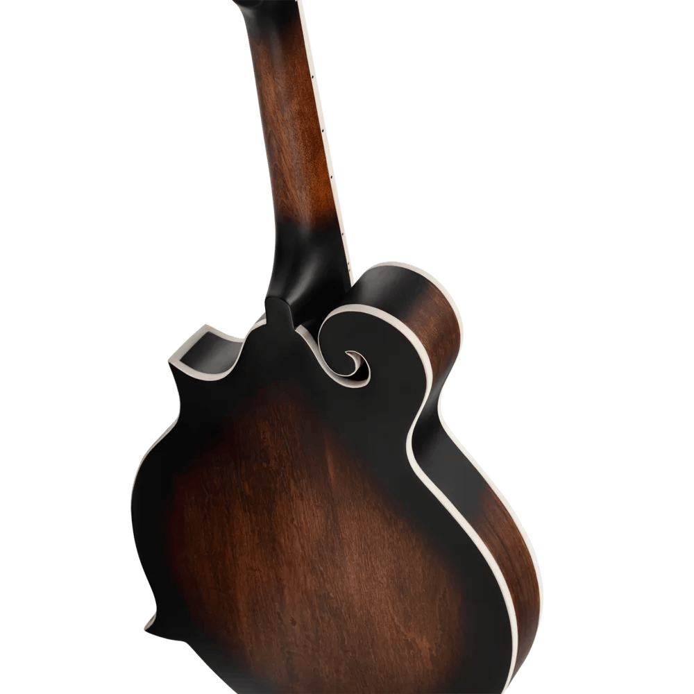 Meinl RMFE30-WB Mandoline Semi-Akoestisch