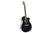 PRS SE A20E BLACK Occasion