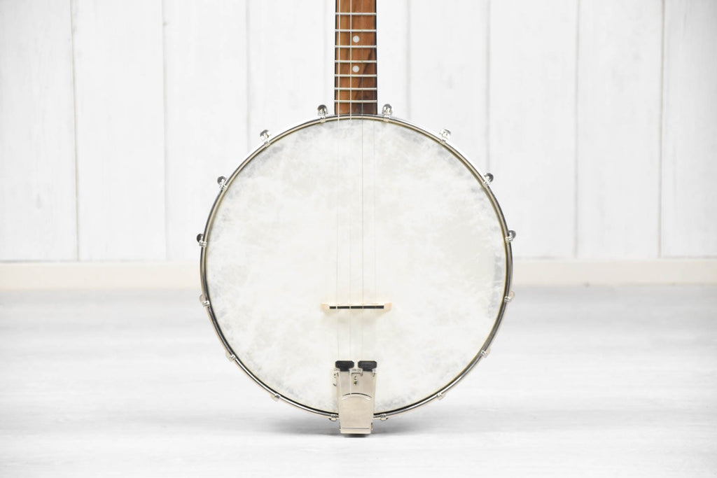 Recording King RKT-05, Dirty 30's Tenor Banjo, Open Back