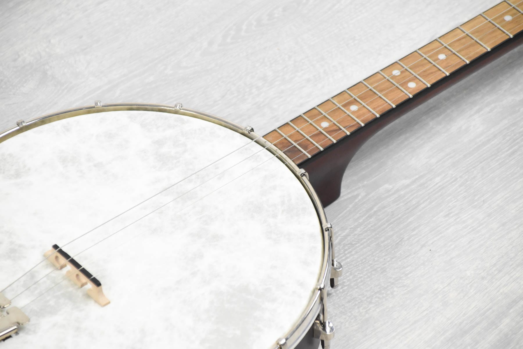 Recording King RKT-05, Dirty 30's Tenor Banjo, Open Back