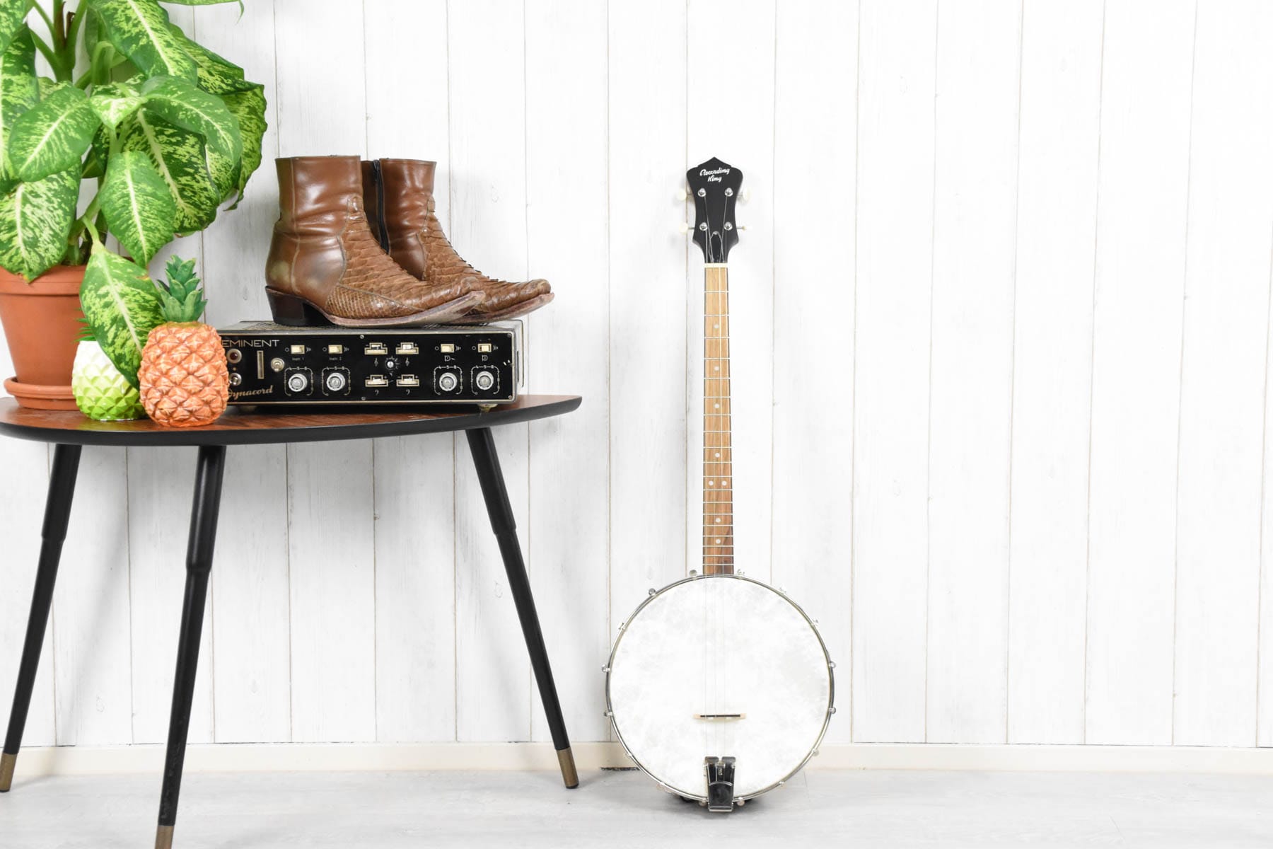 Recording King RKT-05, Dirty 30's Tenor Banjo, Open Back