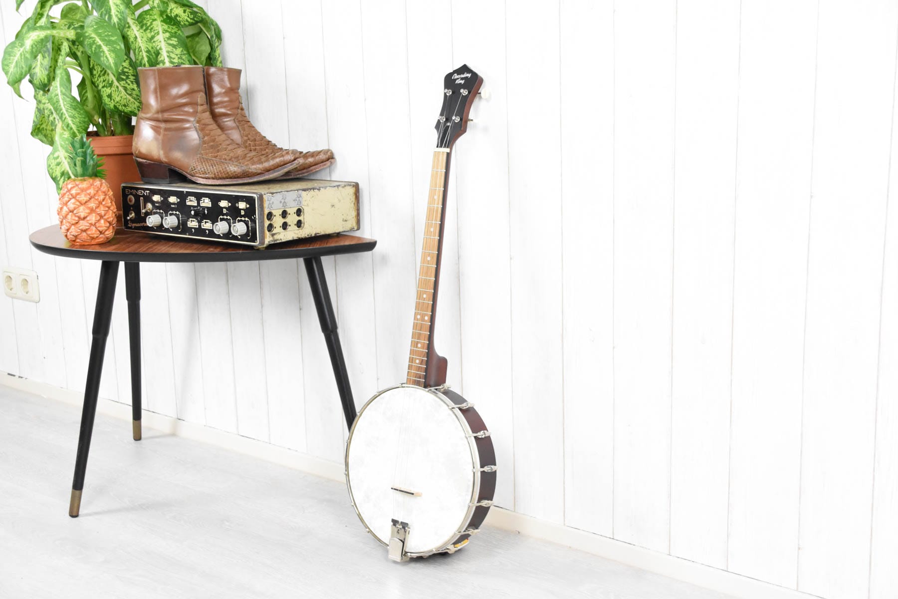 Recording King RKT-05, Dirty 30's Tenor Banjo, Open Back