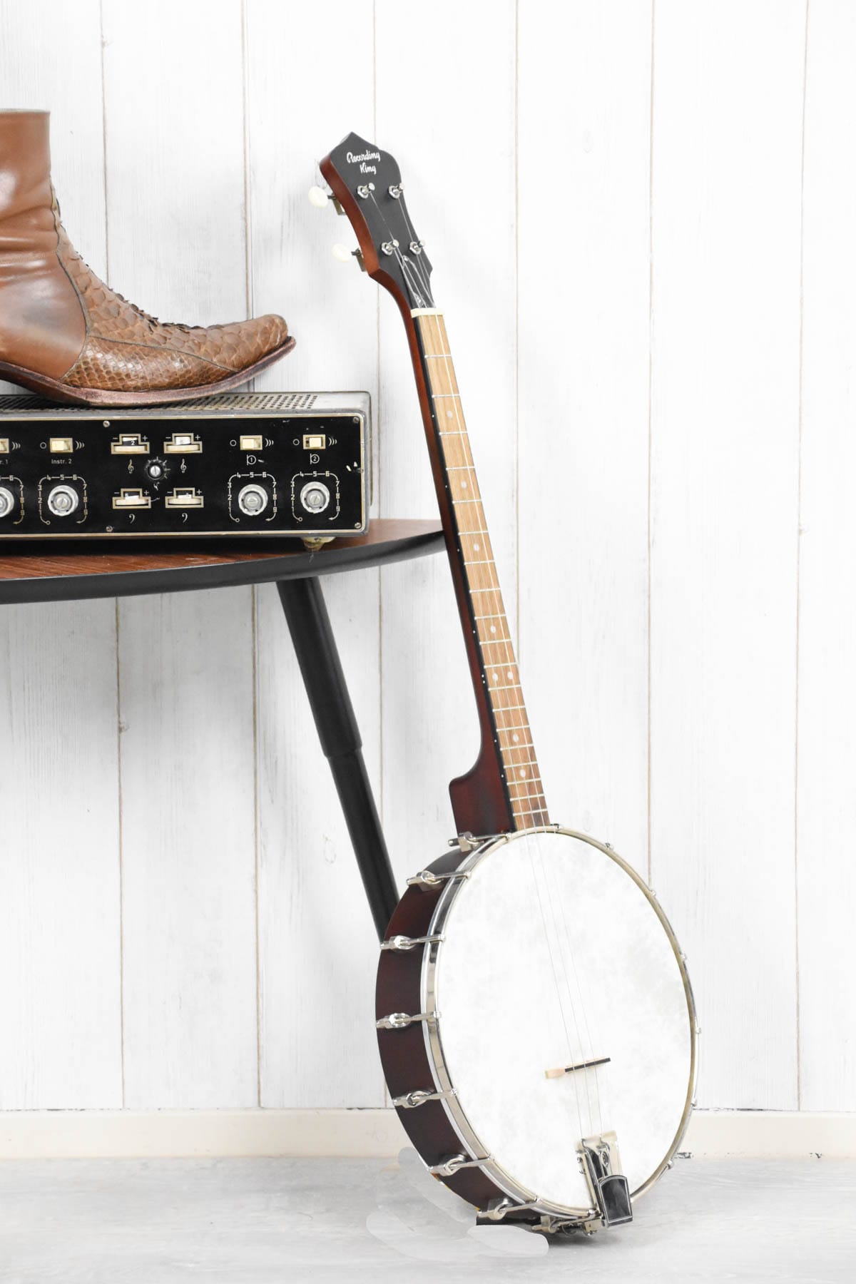 Recording King RKT-05, Dirty 30's Tenor Banjo, Open Back