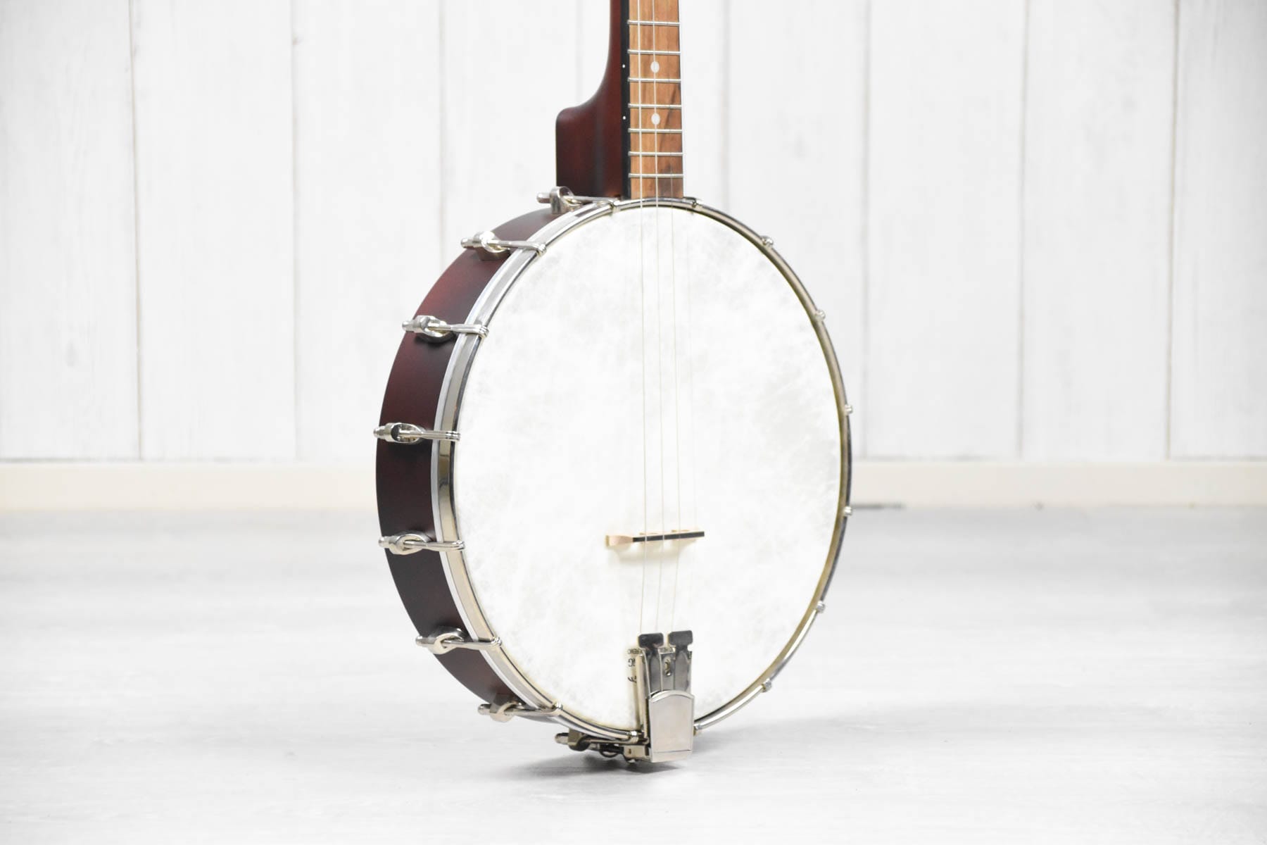 Recording King RKT-05, Dirty 30's Tenor Banjo, Open Back