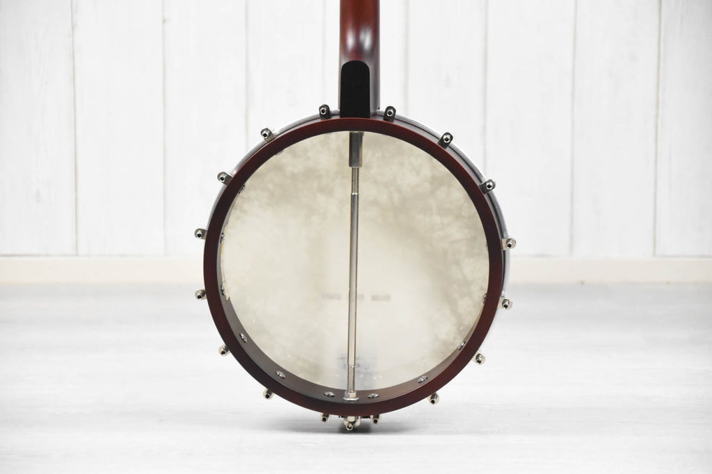 Recording King RKT-05, Dirty 30's Tenor Banjo, Open Back