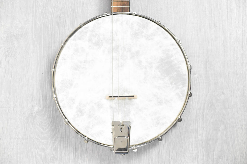 Recording King RKT-05, Dirty 30's Tenor Banjo, Open Back