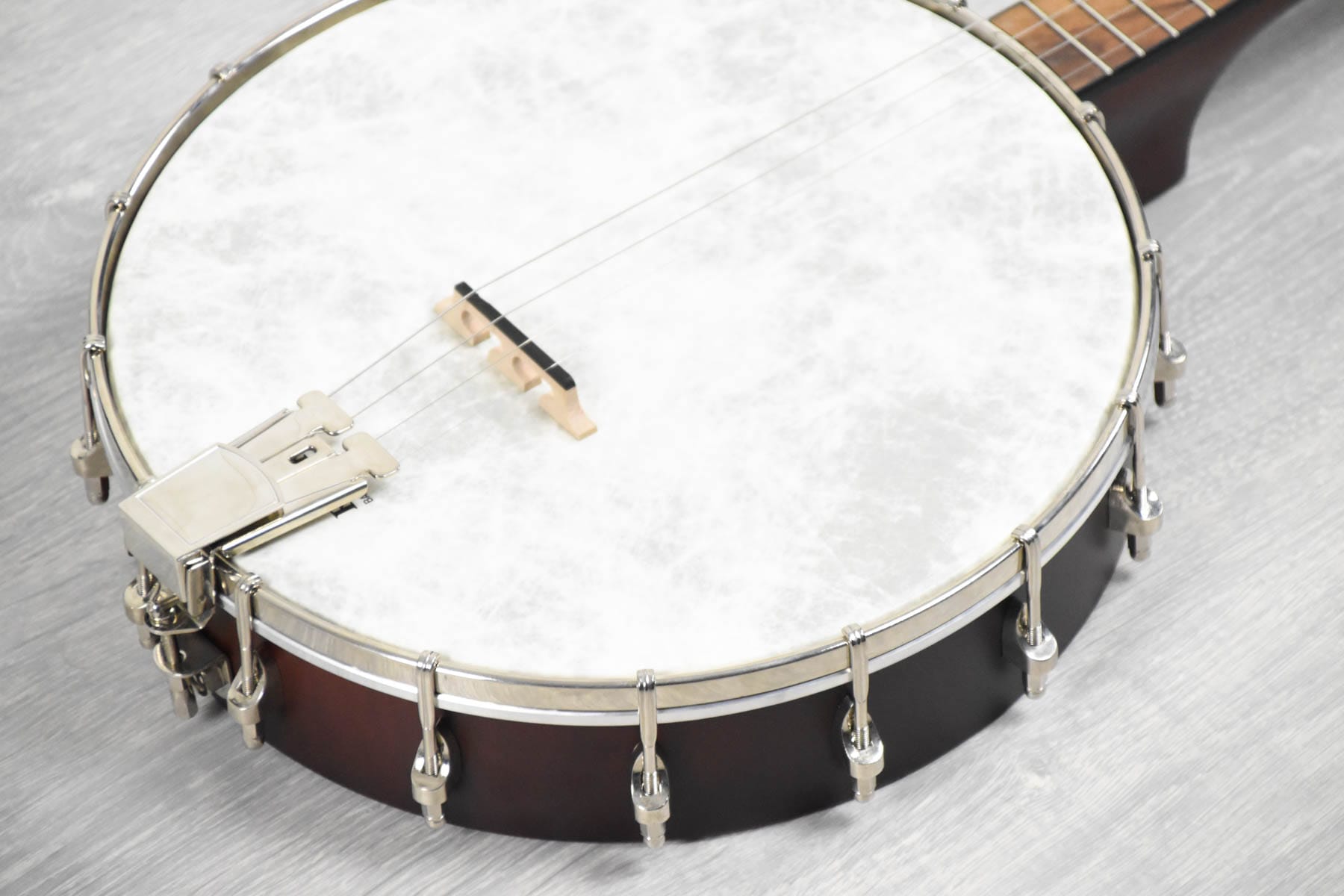 Recording King RKT-05, Dirty 30's Tenor Banjo, Open Back