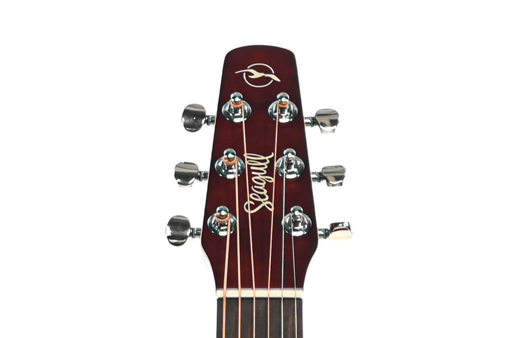 Seagull Entourage Autumn Burst