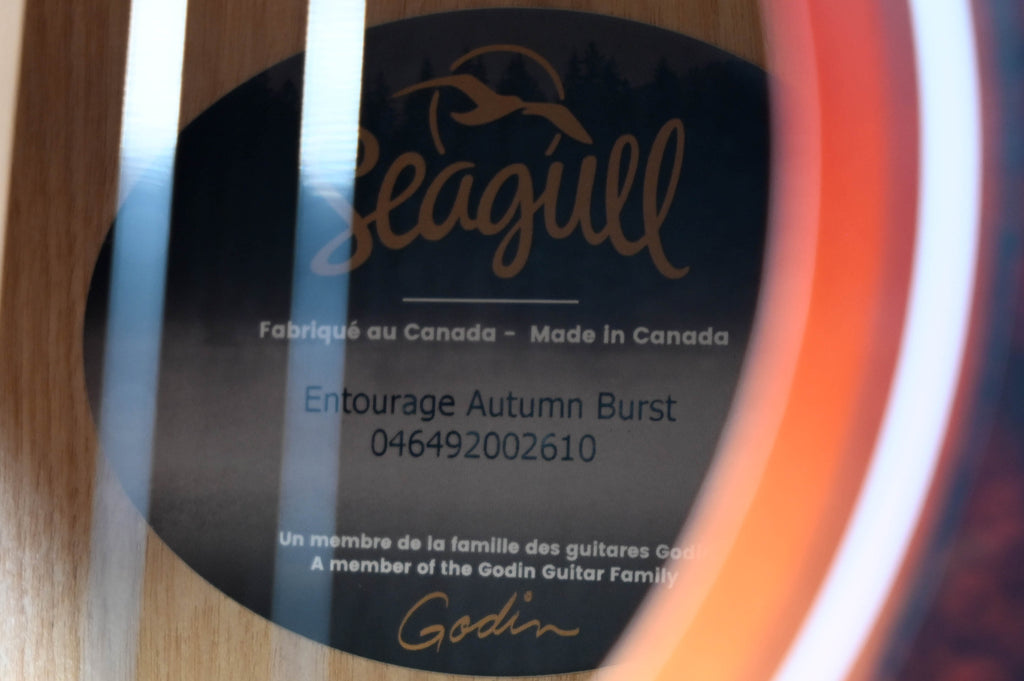 Seagull Entourage Autumn Burst