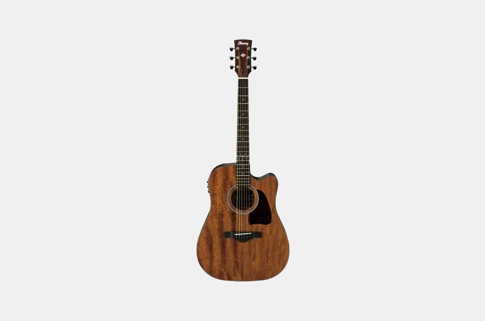 Ibanez AAM54CE-OPN, Open Pore Natural