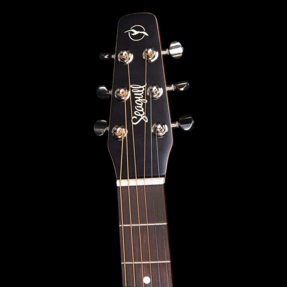 Seagull  Entourage Folk Rustic Burst