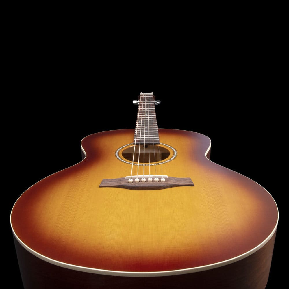 Seagull Entourage Mini Jumbo Rustic Burst