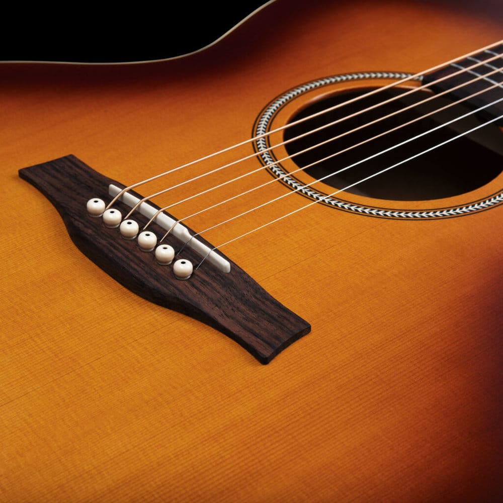 Seagull Entourage Mini Jumbo Rustic Burst