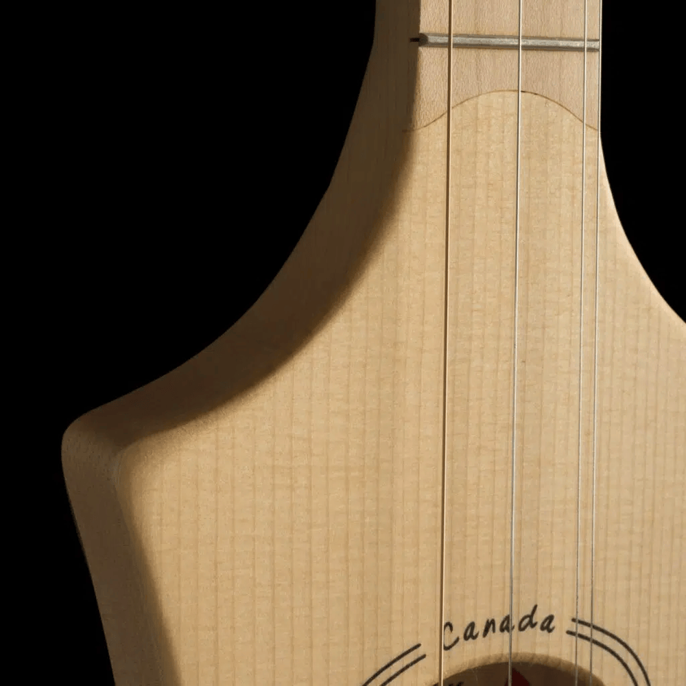 Seagull Merlin M4 spruce eq