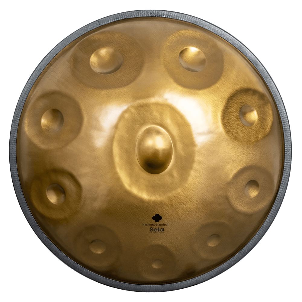 Sela Harmony Handpan D Amara 10