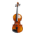 Stagg VN-1/4 Viool Massief Esdoorn