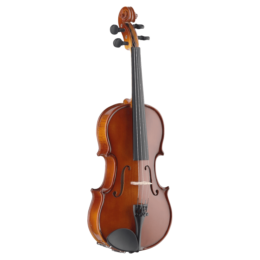 Stagg VN-4/4 Viool 4/4 model complete set