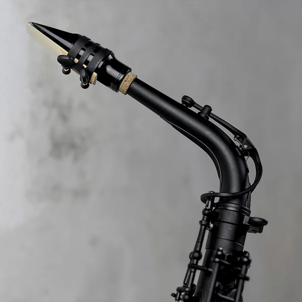 Stalaxy "Eclipse" Altsaxofoon Zwart