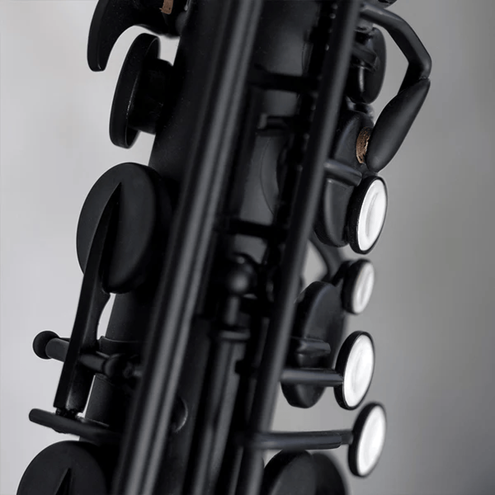 Stalaxy "Eclipse" Altsaxofoon Zwart
