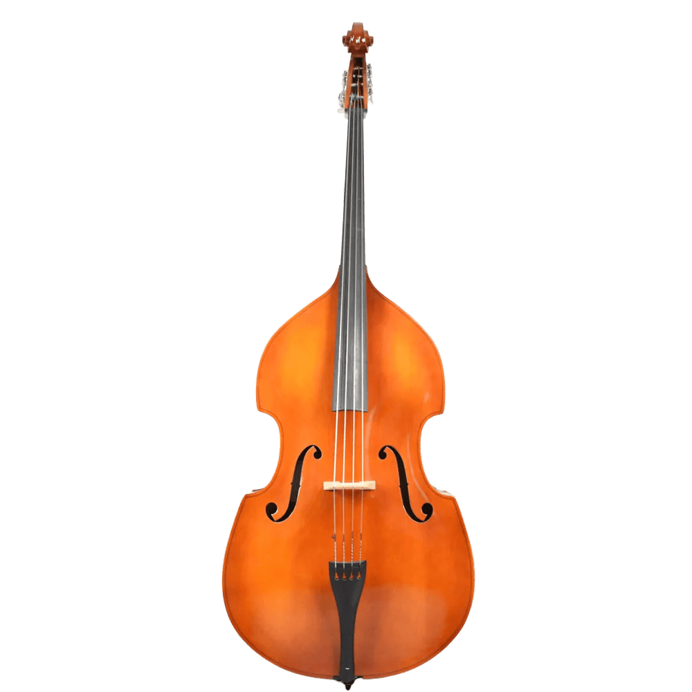 Strunal double bass 4/4 (50/4) laminated