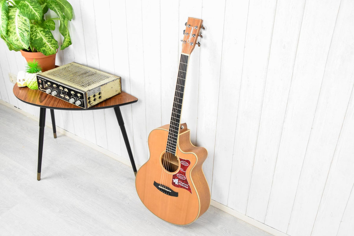 Tanglewood Winterleaf TW9E Semi-Akoestische Western Gitaar